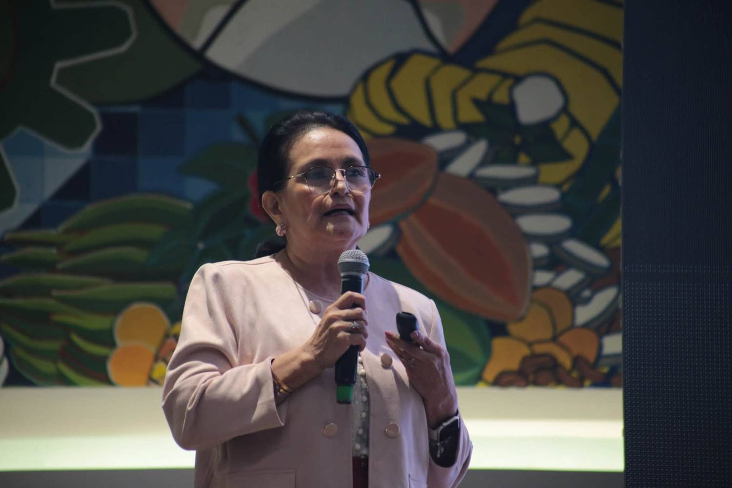 Intervención sobre el trabajo del Observatorio ante el público de la Prefectura de Manabí.